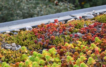 the cost of Hookway green roof installation