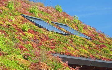 Hookway living roof systems