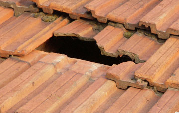 roof repair Hookway, Devon